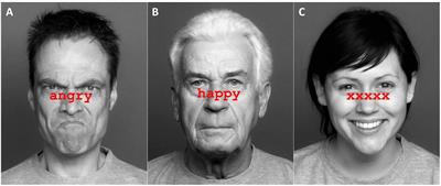 Preserved Proactive Control in Ageing: A Stroop Study With Emotional Faces vs. Words